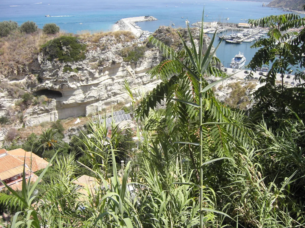 Eventi a Tropea ottobre 2026: cosa sapere, guida aggiornata