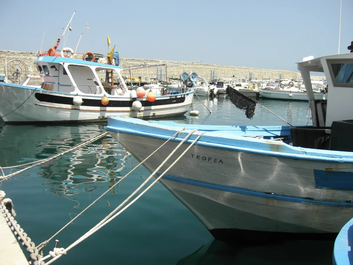 Meglio tour in barca o kayak sulla Costa degli Dei da Tropea?