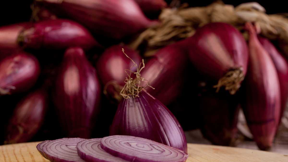 Percorsi enogastronomici alla scoperta della cipolla rossa di Tropea